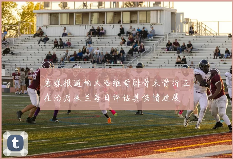 意媒报道帕夫洛维奇腓骨未骨折正在治疗米兰每日评估其伤情进展