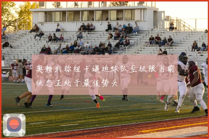 奥赖利称纽卡逼迫球队至极限当前状态正处于最佳势头