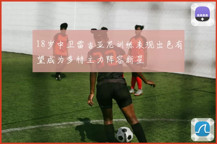 18岁中卫雷吉亚尼训练表现出色有望成为多特主力阵容新星